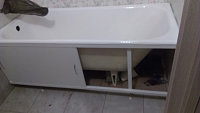 IMAG2182